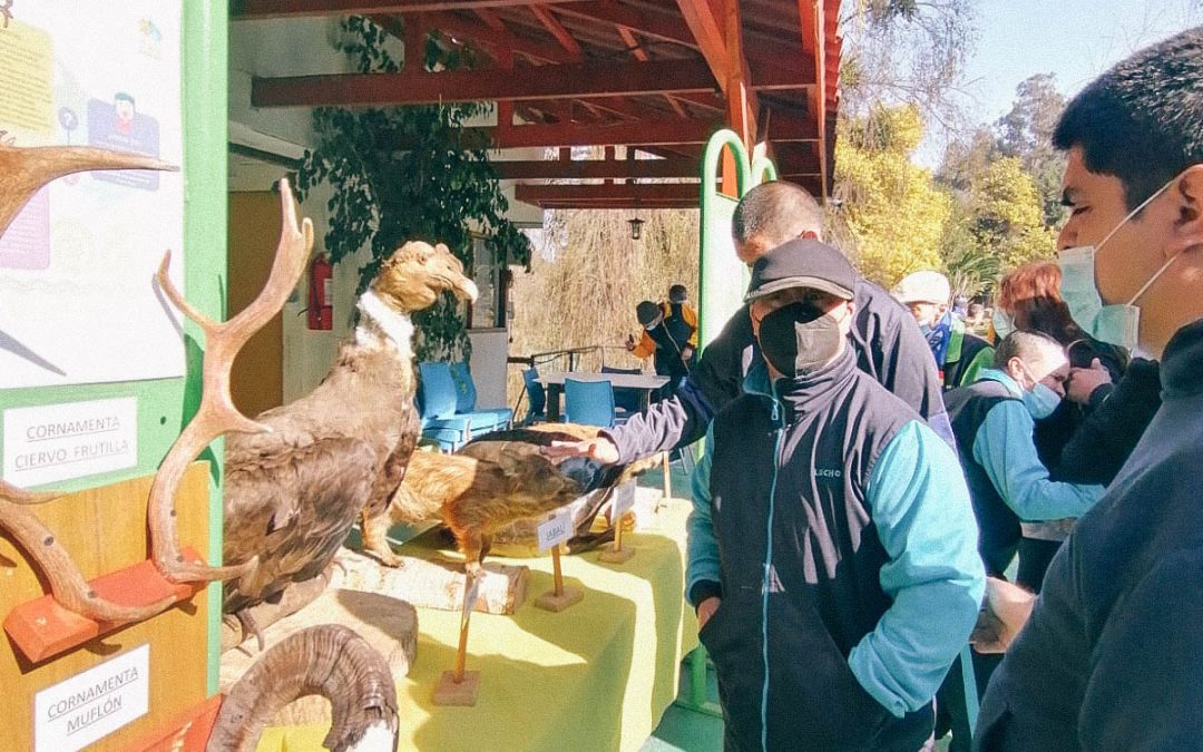 Visita al zoológico de Quilpué