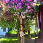 Marcelo Arquero, consejero del COSOC, participando activamente en su última sesión de 2025